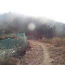 느지매기길 이미지