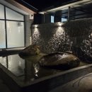 소야 | 단양 신상 풀빌라 ‘소야스테이’ 솔직후기｜자쿠지+불멍+스파클링 폭죽까지 완벽!