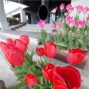 에스엠비즈 이미지