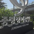 태릉입구역 4번출구 버스정류장 | 중랑 서울장미축제 2026 후기! 태릉입구역에서 다녀온 서울 장미명소 산책코스