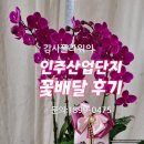 인주산업단지꽃배달전문 화원 감사플라워 인주면꽃배달후기