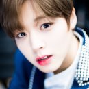 529 이미지