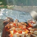 강아지 놀이터 이미지