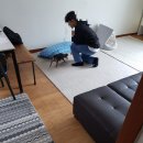 안녕 똑독아 이미지