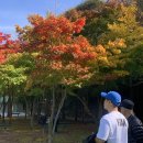 소요산제일식당 | 서울근교단풍구경 소요산단풍 절정시기 20241025 조금 일렀던 단풍구경