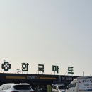 C15 | 인천 선재도 소나무 오션뷰 트리캠핑장 명당자리 C15 후기