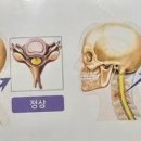 유정한의원 이미지