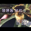 망원동 부르스-이찬원 mr 최신곡 이미지