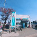 GS25속초노학점