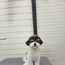 학하서로 이미지