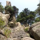 향로식당 이미지