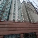 군자초교 이미지