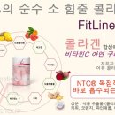 꽁뜨베이커리