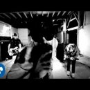 Shinedown - Cut The Cord 이미지