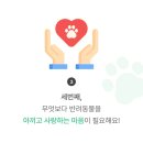 돌봄 | 반려동물 돌봄, 펫시터 어플 월리 (Wally) 후기 및 이용 방법