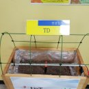 윤병민 농장 이미지