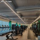 투투gym 이미지