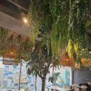 강남가든 | 모스 가든 강남 맛집 후기