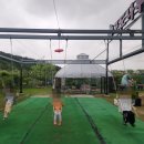 송암농장 | [내돈내산] 세종 아이와 가볼만한 곳 &#34;포도나무정원&#34; 당일 피크닉 및 당일캠핑 정보 및 안내