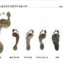 굿피트 이미지