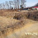 [여주토지] 평온한 마을내 구거 접한 평탄지의 토지 이미지