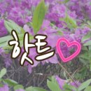빠빠 이미지