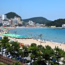 송정해수욕장 티스토리