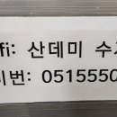 산데미 수제만두 이미지