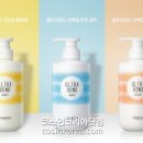 에스투 이미지