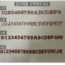 르메이애견 이미지