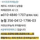 지하철강서구청역 이미지