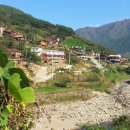 섬진강 솔밭이 보이는 풍경 이미지