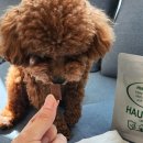 티어리베 이미지