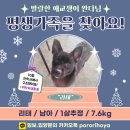 리태 Daum카페