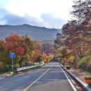 적상면016 이미지