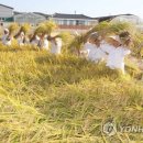 가을걷이