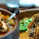 금마가든 Daum카페
