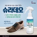 레푸스전주