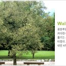 춘향이슈퍼마켓 이미지