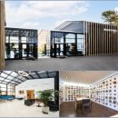 펫 포포즈 이미지