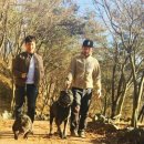산책 이미지