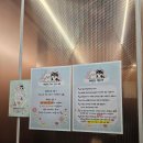 뚜뚜랜드 네이버블로그