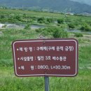 구례제 네이버블로그