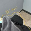 테이크짐에스바디필라테스 이미지