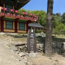 174 | 서울 근교 템플스테이 추천 🙏 남양주 묘적사 힐링 후기 (고양이 있음 )