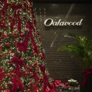 블링블링펫 | 65층 뷰맛집 송도 오크우드 와인뷔페 파노바인 해피아워 연말예약