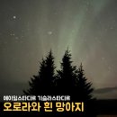 그림농장 | [아이슬란드 링로드 10일] 말 농장 있는 이색 숙소 / 북부 오로라 사진 후기 / 그림 공방도 무료