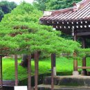 최씨 제실옆 이미지