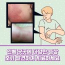 성모류마내과의원 이미지