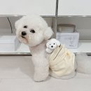 장난감 이야기 | 귀여움 한도초과 고양이 강아지 애착인형, 내동생 어부바 장난감